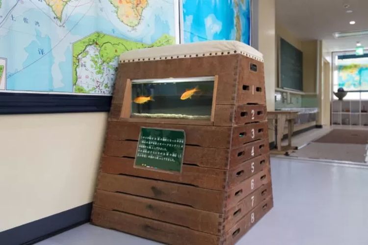 Kotak yang digunakan untuk latihan melompat di sekolah kini menjadi bagian dari dekorasi di Muroto Haiko Aquarium.