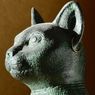 Mengulik Binatang Peliharaan Bangsa Mesir Kuno