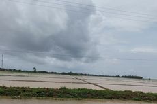 2.118 Hektar Sawah di Karawang Terendam Banjir, Kerugian Capai Rp 16 Miliar