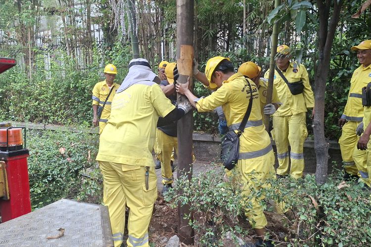 Cegah Pemasangan Ulang Kabel Semrawut, Tiang Provider di Senen Jakpus Dicabut