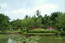 Taman Cantik Penuh Bunga Teratai di Jakarta Selatan