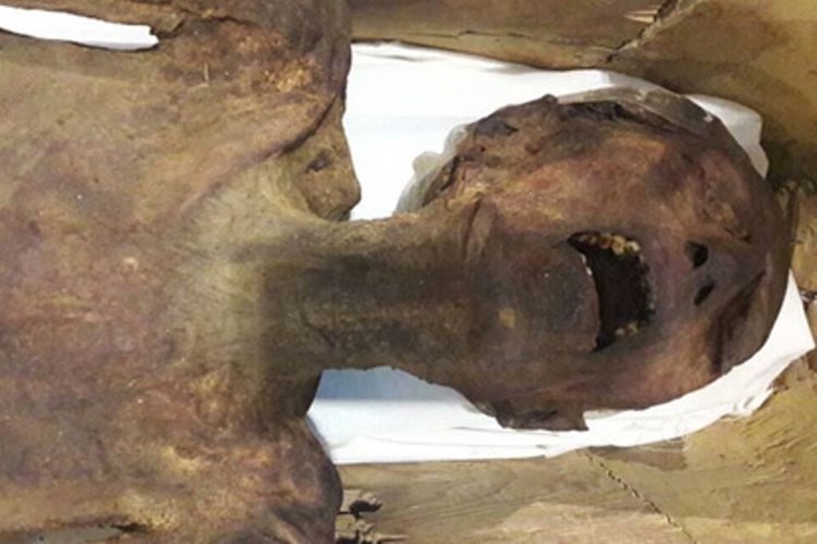 Mumi ini ditemukan di Mesir pada 1886 dan sejak saat itu memunculkan misteri karena wujudnya yang tak lazim.