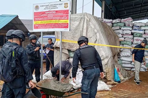 Ribuan Mangrove di Batam Ditebang secara Ilegal, Dijadikan Bahan Baku Arang