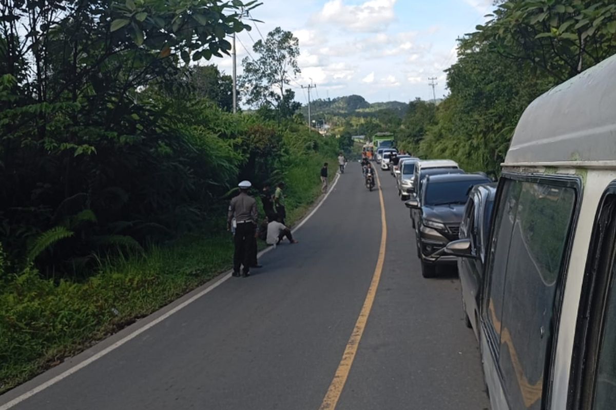 Truk Terguling di Jembatan Jalan Lintas Sumatera Kampar, Arus Lalu Lintas Lumpuh