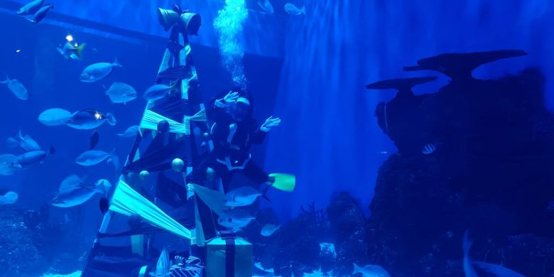 6 Aktivitas Yang Bisa Dilakukan Di Jakarta Aquarium Saat Libur Nataru  Halaman All - Kompas.com