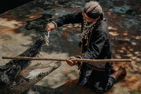 Wahana dan Pertunjukan Seru di Predator Fun Park Batu, Bisa Lihat Buaya