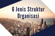 6 Jenis Struktur Organisasi