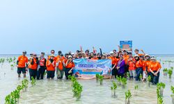 Geliat Ekonomi Biru di Pulau Pari, dari Penanaman 1.000 Mangrove hingga Literasi Keuangan Warga