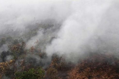 Polisi Takut Dituntut jika Ungkap Nama Perusahaan Tersangka Pembakar Hutan