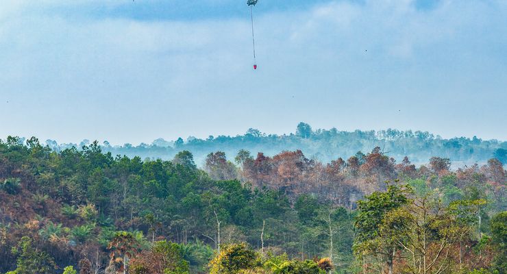 Operasi 10 Kali Water Bombing Cegah Karhutla Mengepung IKN