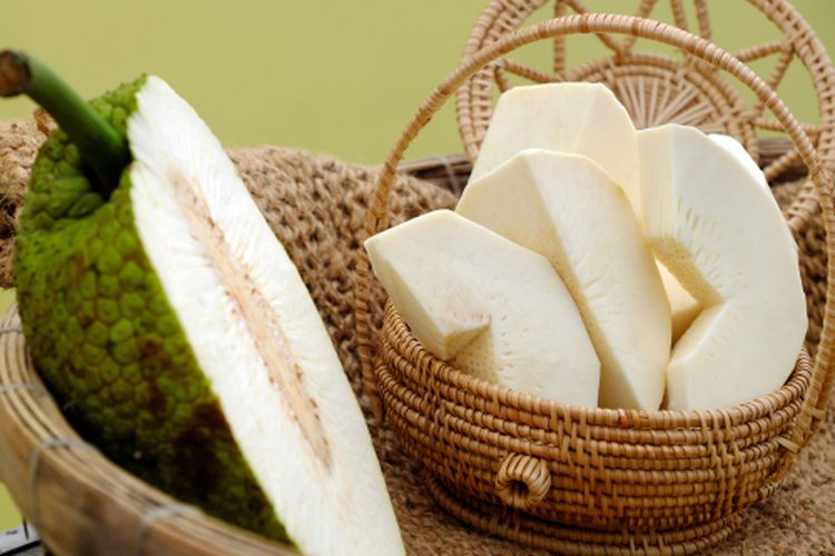 Buah sukun yang sudah dipanen