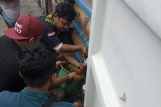 14 Kontainer CPO Diduga Ilegal Ditemukan di Pelabuhan Pontianak, Akan Diekspor ke China