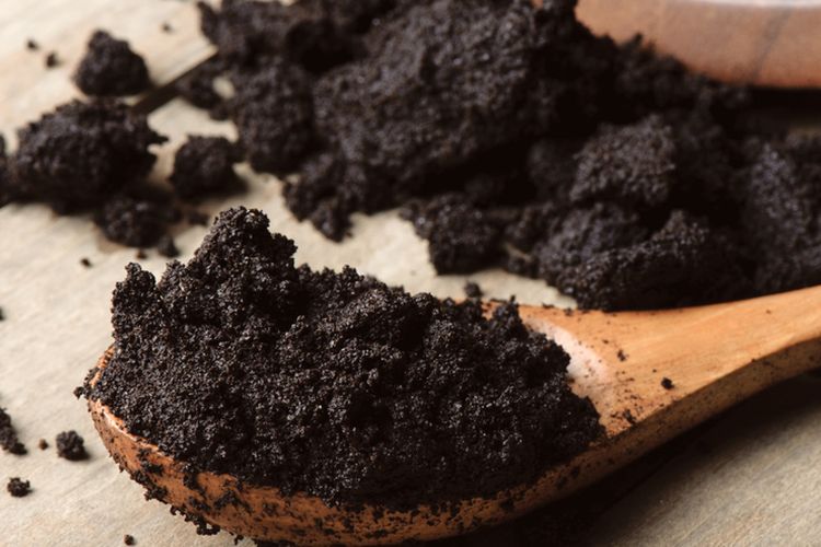 Ampas kopi yang bermanfaat untuk tanaman