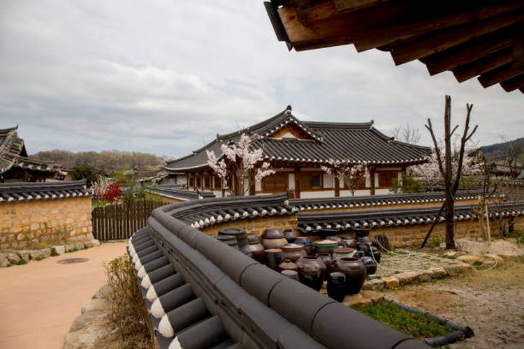 Gyeongju , North Gyeongsang / South Korea - April 04 2015 : Gyeongju Gyochon Village is a hanok village that allows visitors a look inside life of famous the Choi Clan.