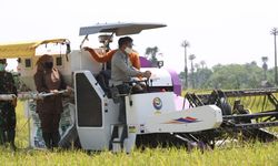 PDB Pertanian Naik di Triwulan I, Kementan Prediksi Kenaikan Berlanjut Hingga 2021