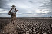 Fenomena Super El Nino Ancam Nasib 500 Juta Petani Global