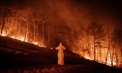 Perusahaan Ini Terapkan Cara Baru untuk Kurangi Emisi Karbon dari Kebakaran Hutan