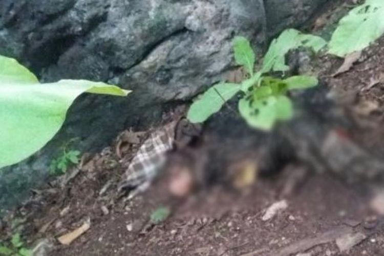 Jasad seorang kakek di Kabupaten Jeneponto, Sulawesi Selatan ditemukan membusuk  setelah dikeroyok oleh kerabatnya lantarannmelanggar adat sejak puluhan tahun silam. Jumat  (20/01/2017).
