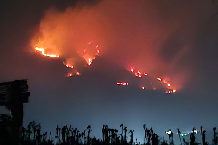 Kebakaran Hutan di Gunung Sumbing, Jalur Pendakian via Magelang Ditutup