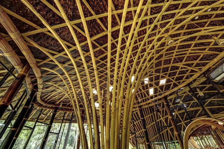 Struktur gridshell dari bambu petung. 