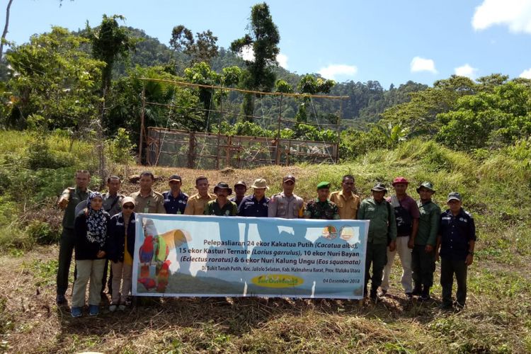 Petugas Balai Konservasi Sumber Daya Alam (BKSDA) Maluku saat melepas satwa hasil sitaan ke penangkaran burung di kawasan Passo Ambon dan di Halmahera Barat, pada tahun 2018 lalu