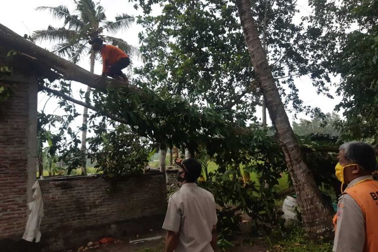 Pohon tumbang akibat angin kencang menimpa rumah di Kabupaten Cilacap, Jawa Tengah, Rabu (27/1/2021).