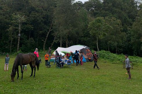 7 Aktivitas Wisata di Jungle Milk Lembang, Camping hingga Piknik