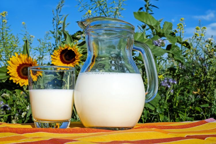 Illustration of milk, cow's milk. 