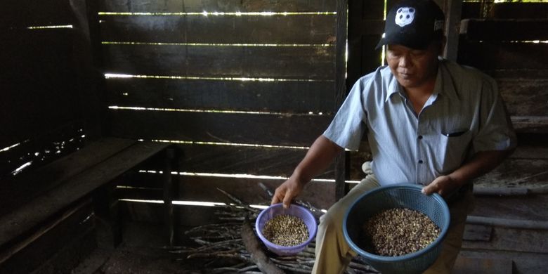 Ketua Kelompok Tani Kopi Kumpai Batu Atas menunjukkan biji kopi jenis liberica milik warga Desa Kumpai Batu Atas, Kotawaringin Barat, Kalimantan Tengah, Sabtu (17/2/2018). Pemerintah Kabupaten Kotawaringin Barat berencana mengembangkan agrowisata untuk menarik kunjungan wisatawan nusantara maupun mancanegara.