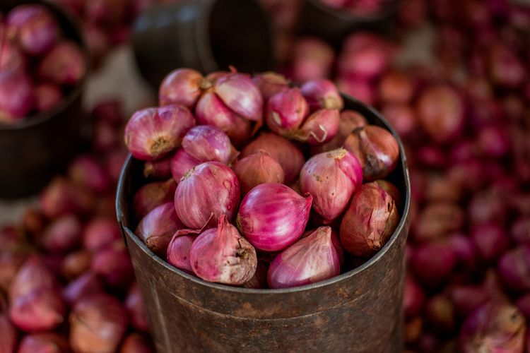 Ilustrasi bawang merah.