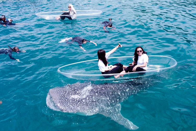 Wisatawan berfoto bersama hiu paus di Botubarani, Gorontalo, Sabtu (31/8/2024).