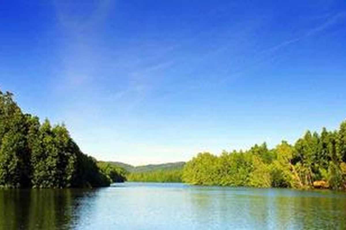 Hutan Bakau yang masih sangat padat terefleksi dengan sangat indah di Sungai Laine, Kabupaten Sangihe, Sulawesi Utara.