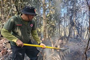 El Nino 2026 Mengancam Jawa hingga Kalimantan, tetapi Bukan Terparah dalam Sejarah