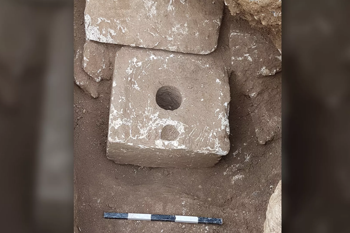 Temuan kotoran manusia berusia 2.500 tahun di toilet kuno mengungkapkan bukti awal parasit disentri tertua.