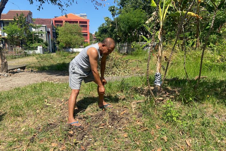 TEMUKAN GRANAT,-Seorang kakek menemukan granat aktif  di kebunnya di Kelurahan Bangunsari, Kecamatan Ponorogo, Kabupaten Ponorogo, Jawa Timur,  Senin (12/6/2023). Petani bernama Muhammad Wahyudi (60) itu menemukan granat aktif saat mencangkul di kebunnya.