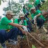 Lakukan Pengijauan, Nestlé Tanam 1.000 Pohon di Jawa Tengah