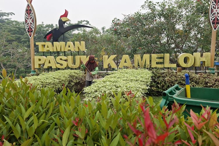 Ibu di Palangka Raya Berjuang di Tengah Asap: Jadi Tulang Punggung, Mata Perih Saat Kerja