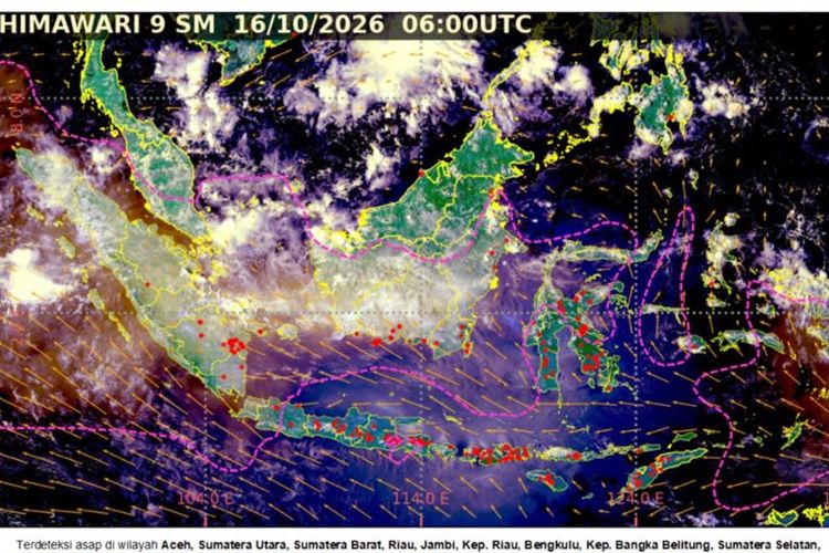 Citra Satelit Himawari Deteksi Asap Karhutla di Jakarta hingga Papua, Ini Sebaran Wilayahnya