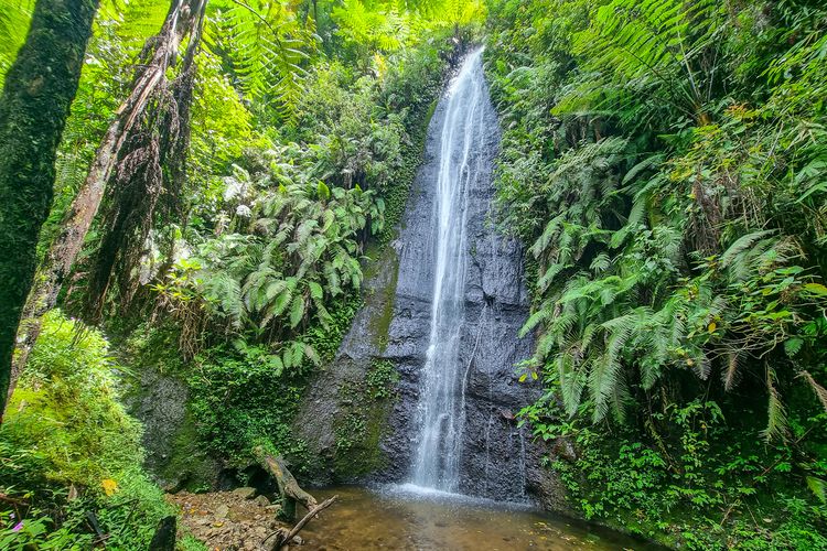 Air Terjun Seloresi di Slogohimo, Wonogiri, Kamis (1/2/2024).