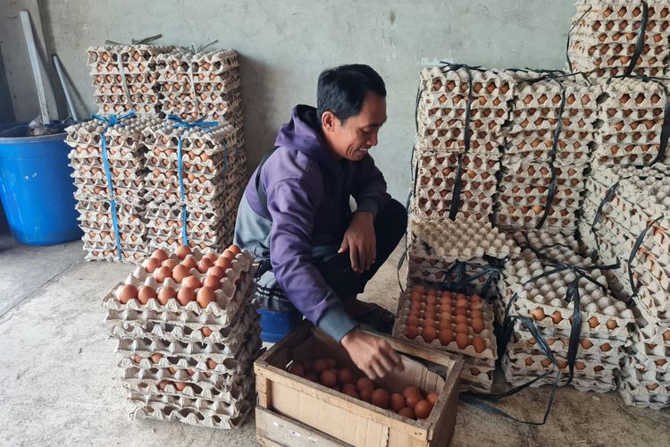 Abdurahman penjual telur ketika sedang kulakan di Pasar Mimbaan, Kecamatan Panji, Kabupaten Situbondo, Selasa (5/3/2024)
