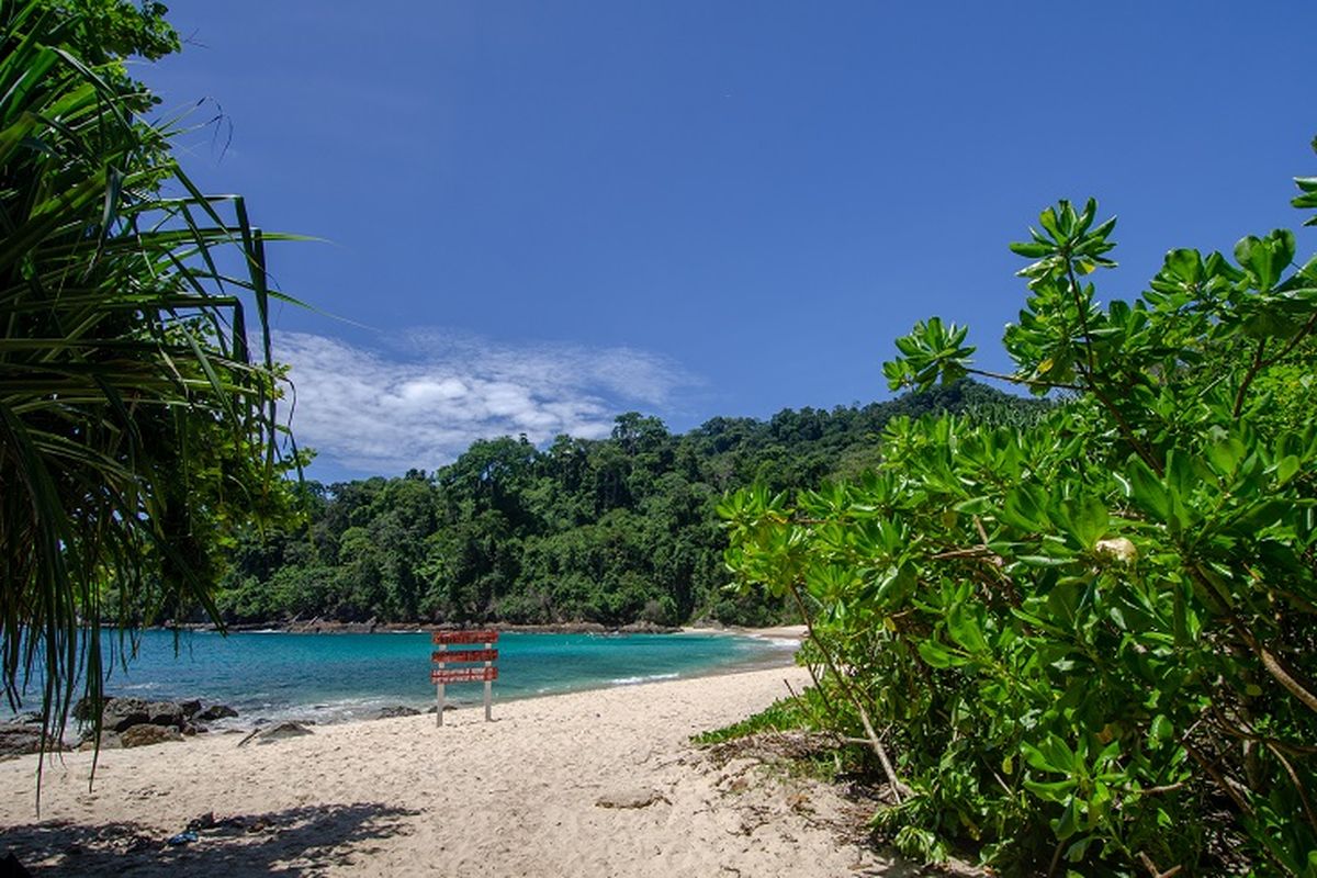 Ilustrasi Banyuwangi - Pantai Teluk Hijau (Green Bay).