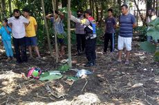 Heboh, Mayat Bayi Ditemukan di Tumpukan Kotoran Sapi di Kediri