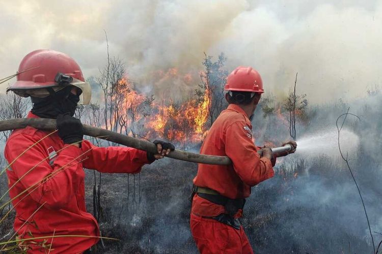 Titik Api Kembali Muncul di Sumsel, 35 Hektare Lahan Terbakar