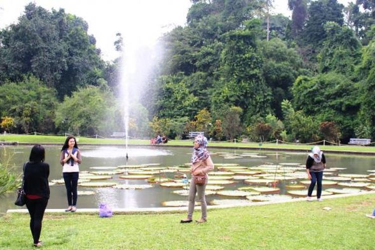 Salah satu spot berfoto atau selfie lainnya di Kebun Raya Bogor yaitu kolam teratai, di depan cafe Grand Garden. Banyak wisatawan yang berfoto di depan kumpulan bunga teratai dengan ait mancur setinggi 10 meter yang menambah keindahan.