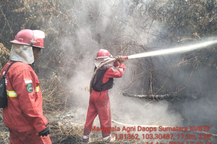 Kebakaran Lahan dan Hutan di Jambi Capai 300 Hektare