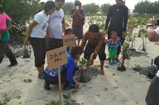 Menteri Susi Terkejut Lihat Kesadaran Warga Pulau Pari akan Pentingnya Mangrove