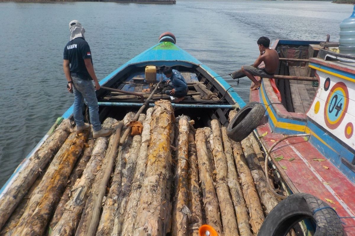 Kayu ilegal logging yang diamankan oleh tim operasi pengamanan Hutan Gakkum dari Kementerian Lingkungan Hidup dan Kehutanan (KLHK) Wilayah Sumatera menangkap tiga pelaku di kawasan Suaka Margasatwa (SM) Padang Sugihan,  Kabupaten Ogan Komering Ilir (OKI), Sumatera Selatan, Selasa (21/7/2020).