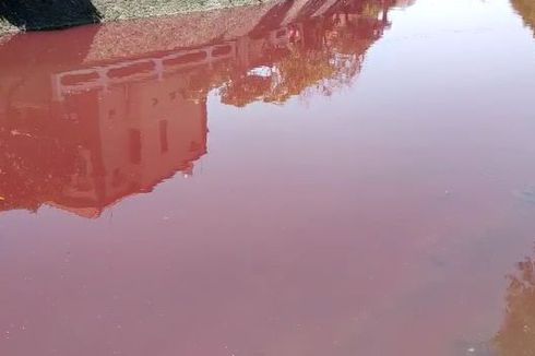 Viral Sungai di Bali Berubah Warna Jadi Merah