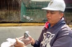 Cerita Ade Putra Putar Otak demi Sambung Hidup karena Lapak Burung Daranya Sepi