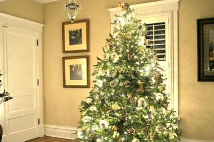 Pohon Natal yang diletakkan di ruang tamu harus berada di tempat yang tidak menghalangi jalan orang